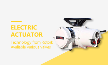  Electric actuator