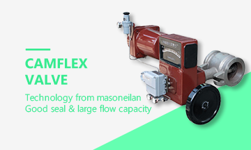  Camflex valve