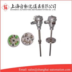 Temperature transmitter with thermocouple RTD